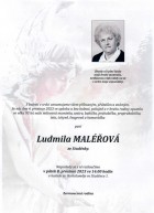 prosinec23_Parte Maléřová Ludmila_Studénka