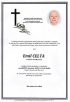 prosinec24_Parte Celta Emil_Hradec nad Moravicí