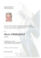 prosinec25_Parte Ambrožová Marie_Bílovec